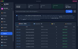 Explorer: when you see all the transactions and blocks in the server