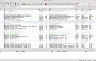 EiskaltDC++ screenshot 1
