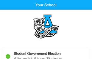 Election Runner screenshot 2