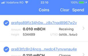Electron Cash screenshot 1