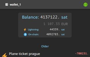 Electrum screenshot 1