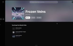 ElevenMusic screenshot 3