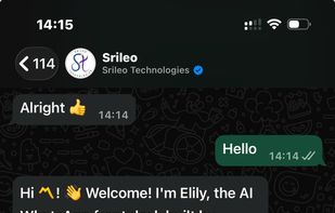 Elily replies instantly to clients on Whatsapp for Srileo Technologies.