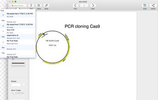 elucidaid screenshot 2