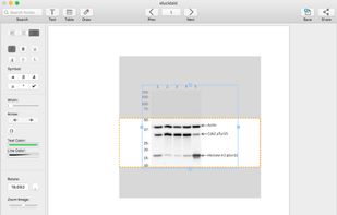 elucidaid screenshot 1