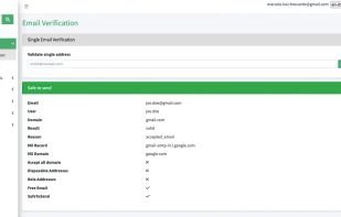 Detailed email checker result displaying syntax, MX, SMTP, and risk analysis for a single address verification.