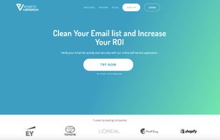 Email List Validation screenshot 1