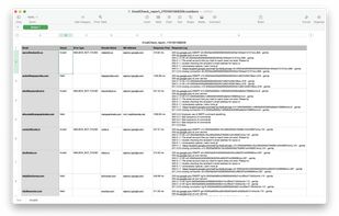 Report generated by EmailCheck