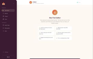 Ember AI chat interface