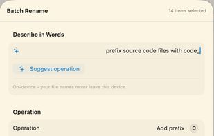 Local AI for batch file name processing