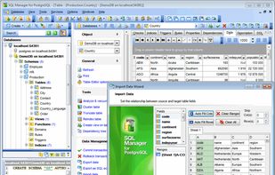 EMS SQL Manager for PostgreSQL screenshot 1