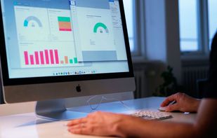 Enalyzer screenshot 1