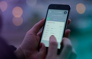 Enalyzer screenshot 1