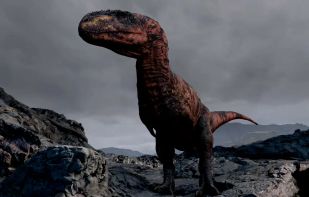 Encounter Dinosaurs screenshot 2