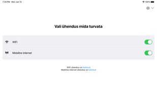 Encrypted DNS screenshot 2