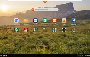 Endless OS screenshot 1