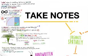 Endless Paper screenshot 1