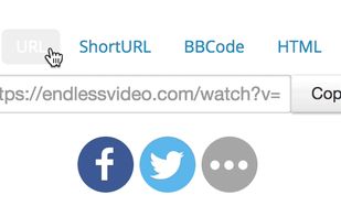 Endless Video screenshot 3