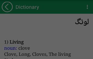 English to Urdu Dictionary screenshot 1