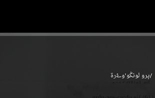 English to Urdu Dictionary screenshot 2