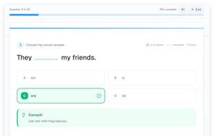 English Grammar Exercise Focus Mode