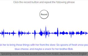 The speech recognition system