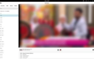 "EngPlayer's main interface during live IPTV playback, featuring a modern GTK4/LibAdwaita design with a clean channel list and native playback controls."