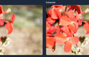 Image Deblur Before and After