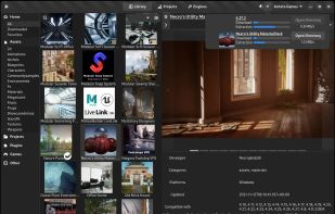 Epic Asset Manager screenshot 1