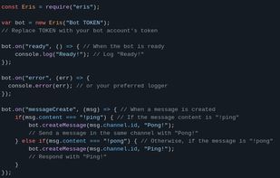 Example bot with ping-pong command.
