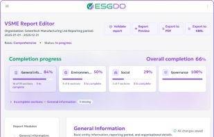 VSME report view