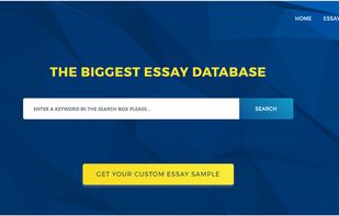 Essay Town screenshot 1