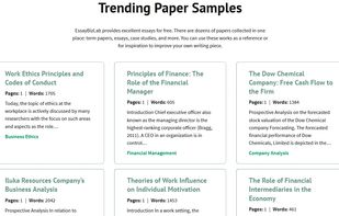 EssayBizLab screenshot 1