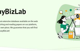 EssayBizLab screenshot 2