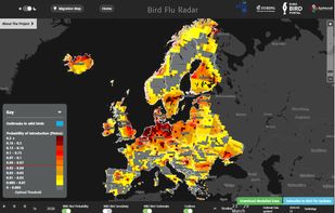 EuroBirdPortal screenshot 2