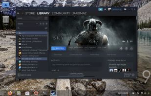 EuroLinux screenshot 1