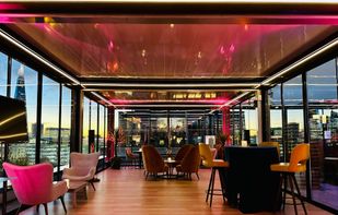 Blue Orchid - Skyline