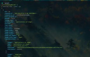 View additional clipboard metadata with the --json flag
