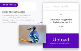 Search by image