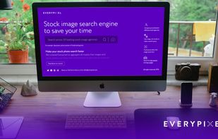 Browse 50 leading microstock agencies using only one tool