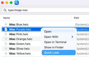 Everywhere File Search screenshot 1