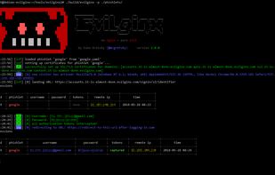 Evilginx screenshot 1