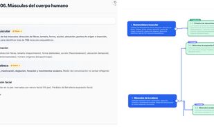 ExamFlow screenshot 3