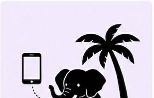 ExamJungle screenshot 2