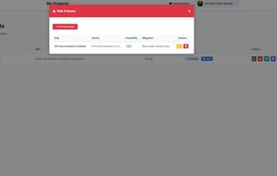 Project's Risk Management