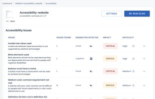 Detailed overview of all accessibility issues in the ExcellentWebCheck dashboard