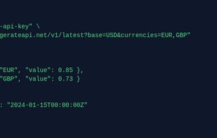 Exchange Rate API screenshot 1