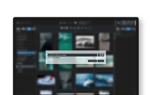 Prompt-search AI in Excire Foto 2025