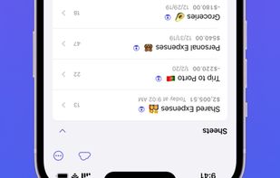 Expenses: Spending Tracker screenshot 3