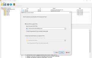 Conversion Options